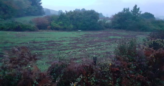 Agricat, bene il tavolo permanente 